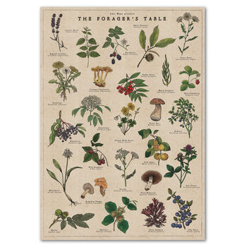 Botanical Wild Food Print/Illustrated Foraging Artwork, 2 of 11