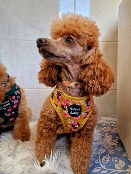 Vintage Yellow Buttercup Peonies Dog Collar, 6 of 9