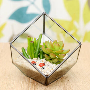 Succulent Glass Cube Terrarium Kit Christmas Gift, 2 of 3