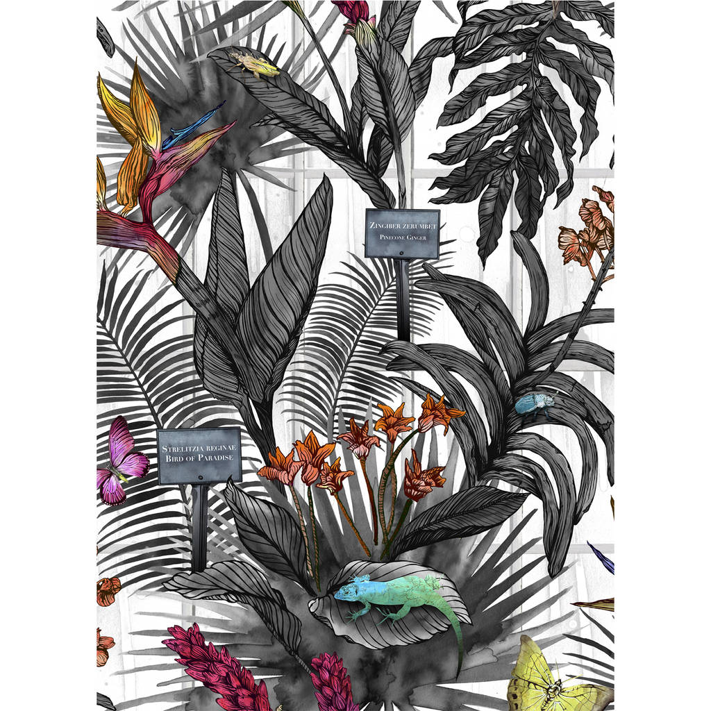 Glasshouse Grey Botanical Wallpaper By Terrarium Designs |  