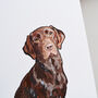 Chocolate Labrador Print, thumbnail 6 of 6