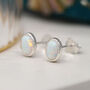 Oval White Fire Opal Stud Earrings In Sterling Silver, thumbnail 1 of 12