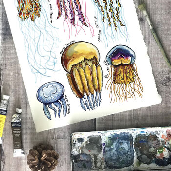 Jellyfish Of Britain Watercolour Postcard, 9 of 11