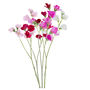 Four Faux Sweet Pea Stems, thumbnail 4 of 4