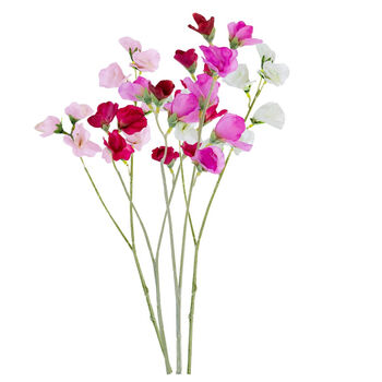 Four Faux Sweet Pea Stems, 4 of 4