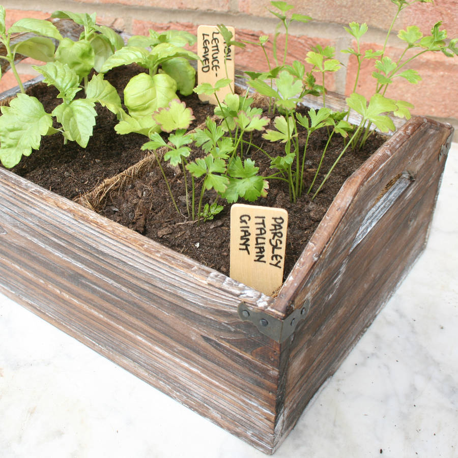 set of three wooden seed trays by garden gear