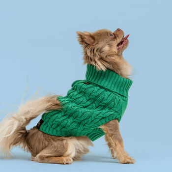 Plain Knitted Green Dog Jumper, 2 of 4