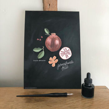 Botanical Pomegranate Fruit A4 Giclée Print, 2 of 2