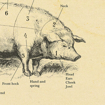 British Pork Butcher Cuts Print, 6 of 8