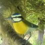 Hand Painted Metal Bluetit, thumbnail 4 of 9