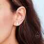 Sterling Silver Tiny Quokka Stud Earrings, thumbnail 6 of 11
