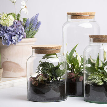10 L Half Open Glass Terrarium Bottle For Indoor Plants, 2 of 3