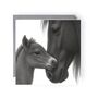 Stunning Horse And Foal Greeting Card, thumbnail 1 of 4