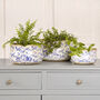 Set Of Three Blue Scalloped Patterned Planters, thumbnail 1 of 5