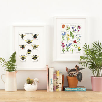British Bees Illustrated Giclée Print, 5 of 6