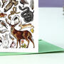 Moorland Wildlife Of Britain Greeting Card, thumbnail 6 of 8