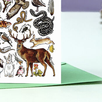 Moorland Wildlife Of Britain Greeting Card, 6 of 8