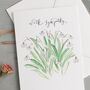 'With Sympathy' Snowdrops Bereavement Card, thumbnail 3 of 3