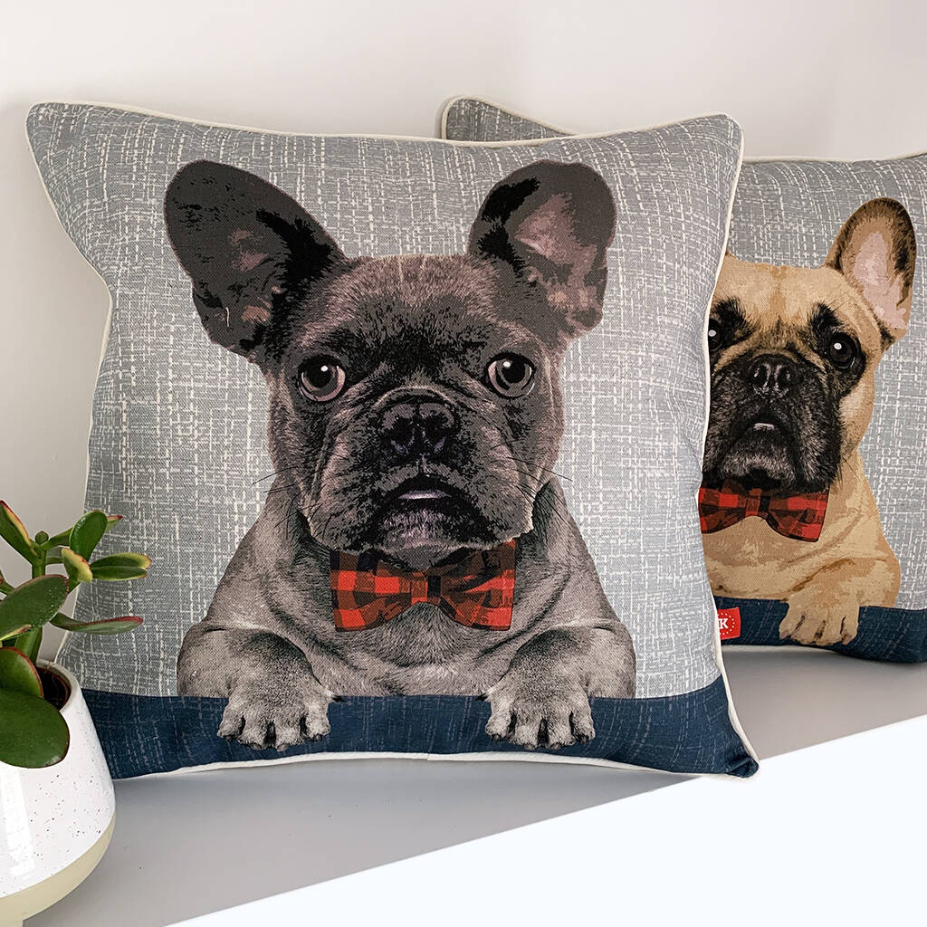 bulldog cushion