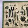 Seasonal Fruit And Vegetable Tea Towel, thumbnail 3 of 8