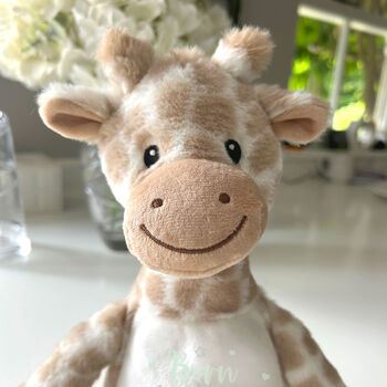 Personalised Born In 2026 Giraffe Teddy Bear 34cm – New Baby, Christening Or 1st Birthday Gift, 5 of 9