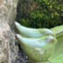 Round Green Ceramic Bird Bath With Two Love Birds, thumbnail 4 of 8