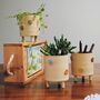 Bright Flowers Pot With Legs, Planter, Pen Holder, thumbnail 4 of 7