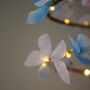 Butterfly Spiral Light Nature Inspired Lighting, thumbnail 10 of 10