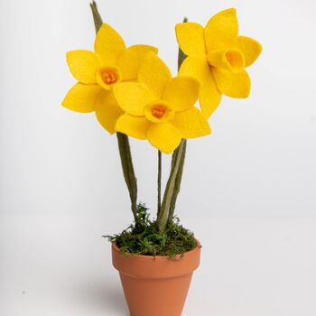 Handmade Mini Daffodil Pot, 2 of 2