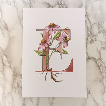 E Is For Echinacea Coloured Initial Print, 4 of 10