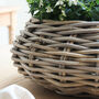 Round Rattan Zinc Lined Planter, thumbnail 5 of 5