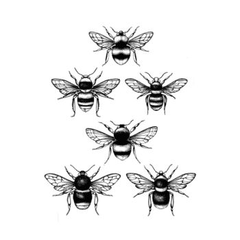 'British Bees' Fine Art Print, 4 of 6