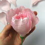 Paper Flower Kit Peony, thumbnail 11 of 11