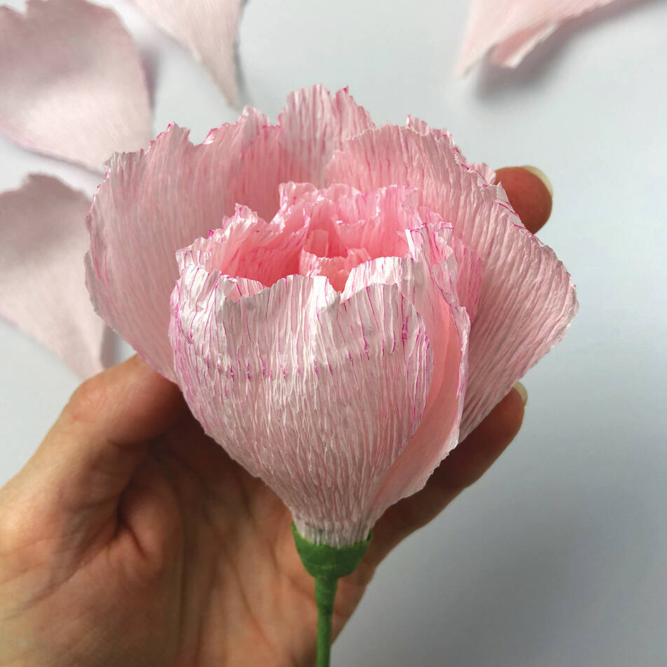 Paper Flower Kit Peony By Bergin & Bath