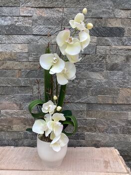 Cream Artificial Silk Luxury Orchid Mothers Day Gift, 4 of 7