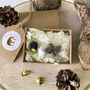 Personalised Mother's Day Hedgehog And Seeds In A Gift Box, thumbnail 1 of 3
