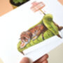 Tiger Vintage All Occasion Greetings Card, thumbnail 2 of 5