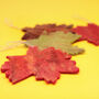 5x Autumnal Leaf Hanging Decorations, thumbnail 6 of 6
