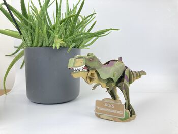 Build Your Own Personalised Tyrannosaurus Rex, 9 of 12