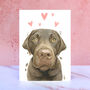 Chocolate Labrador Licks And Kisses Greetings Card, thumbnail 1 of 1