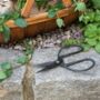 Traditional Hand Forged Gardening Scissors, thumbnail 3 of 6