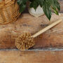 Sustainable Wood Toilet Brush With Plant Bristles, thumbnail 2 of 7