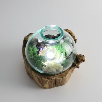 Molten Glass Terrarium Decorative Bowl On Wooden Base, 4 of 9
