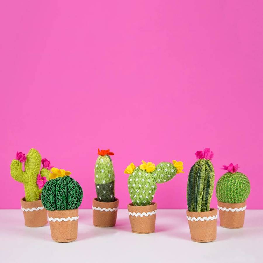 artificial cactus set by marquis & dawe