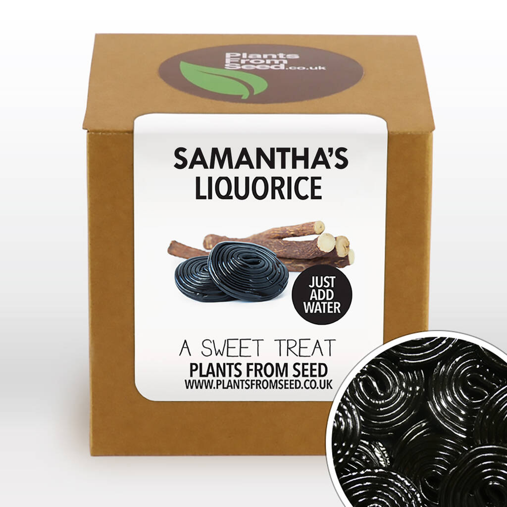 complete grow your own sweet liquorice plant kit by plants from seed
