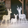 Swinsty Dual LED Plug In Reindeer Family, thumbnail 4 of 7