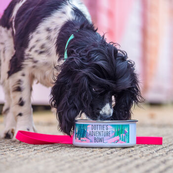 Adventure Awaits Personalised Enamel Pet Bowl, 8 of 10