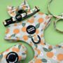Dog Harness Set | Oranges And Blossoms, thumbnail 2 of 2