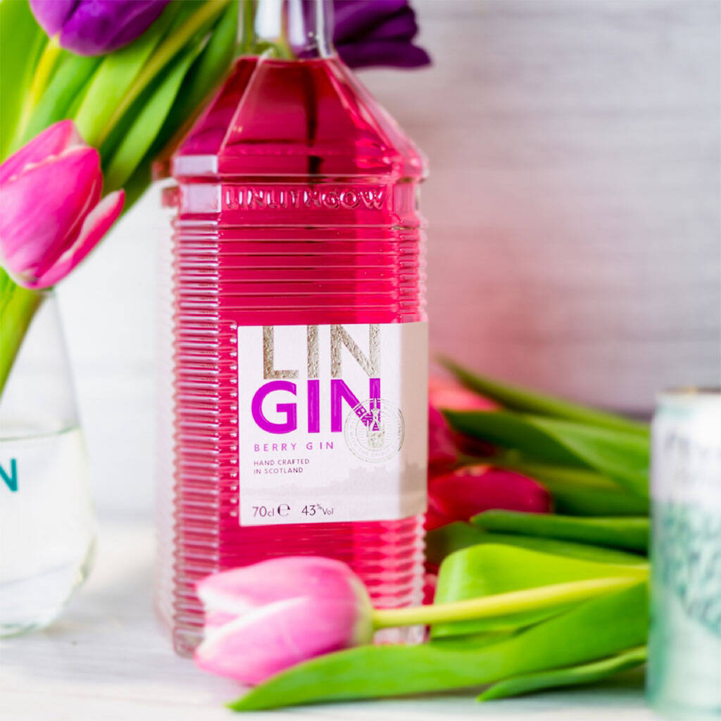 Edinburgh Gin Distillery Tasting Tour Experience By Guess What I Did!