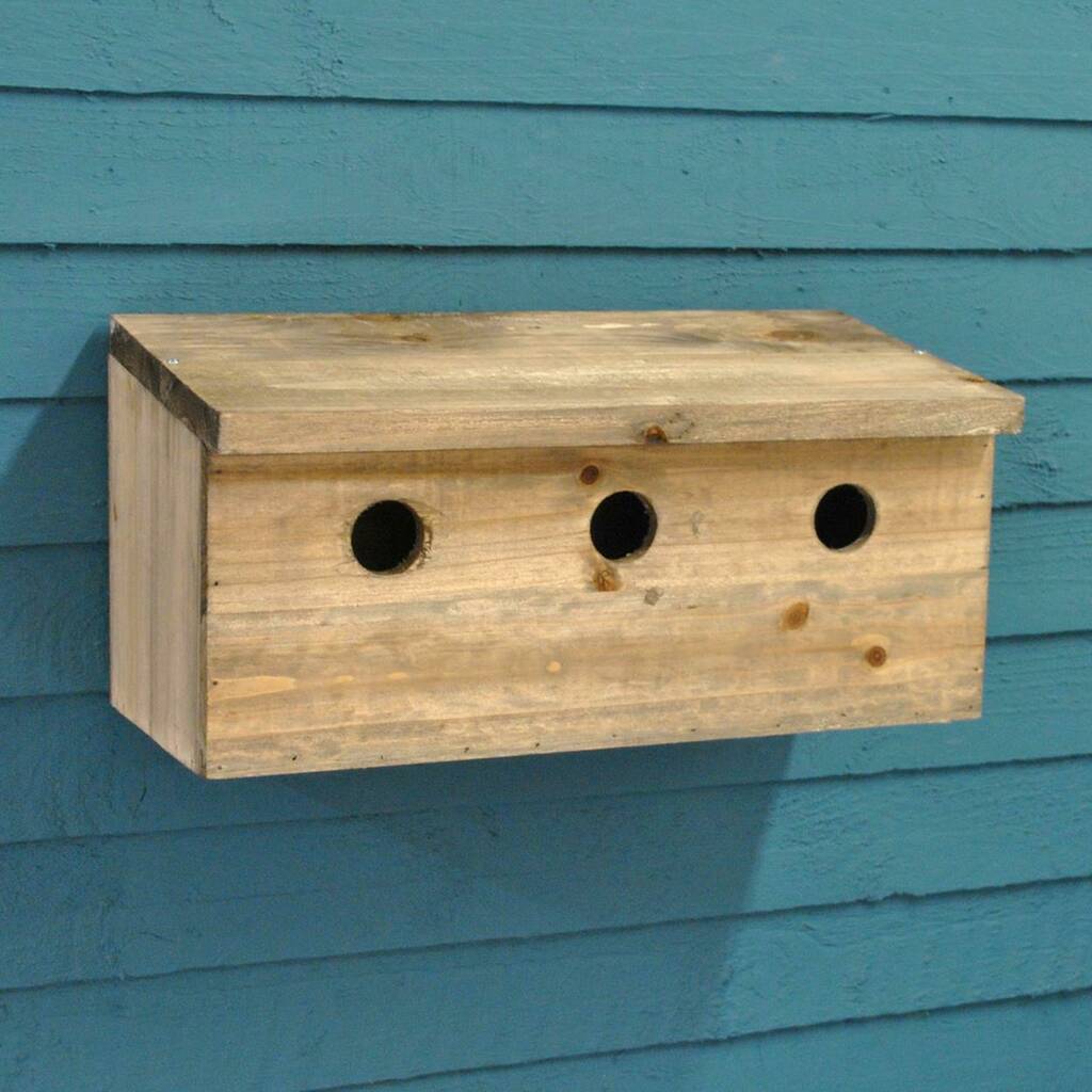 Sparrow Bird House Design